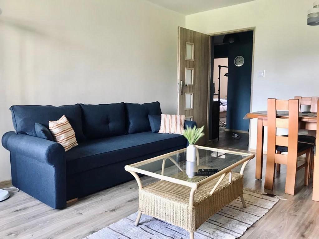 Apartament U Krola Sledzia コウォブジェク エクステリア 写真